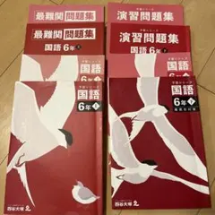 【バラ売り要相談】予習シリーズ　国語 、演習問題集 6年生 上下　テキストセット