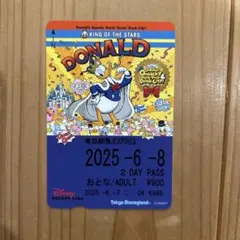 ディズニーリゾートライン　ドナルドパルパルーザ限定切符