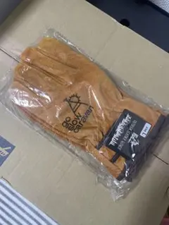 Item thumbnail for item ee9df7fb-5117-49d4-a631-86b6cb80caee