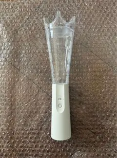 We are ARASHI 2026 嵐ペンライト