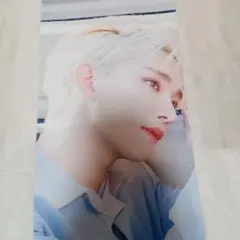 【値下げ交渉⭕️】SEVENTEEN ジョシュア オーロラ スローガン