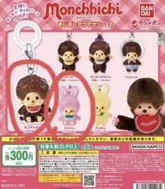 モンチッチ　めじるしアクセサリー2 3個セット