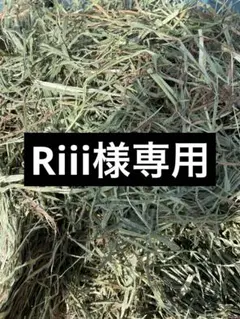 Riii様専用