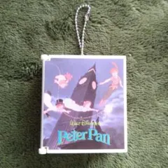 ディズニー　ピーターパン