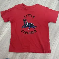 LITTLE EXPLORER カブトムシ スパンコール Tシャツ　130のサムネイル