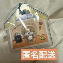 SEVENTEEN セブチ ミニティーン miniteenディノ チャンダリ - メルカリ