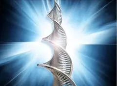 クンダリーニレイキプラチナム　最新版　アチューメント　ヒーリング　伝授 2025年最新】クンダリーニレイキの人気アイテム - メルカリ