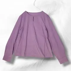 シスベイル SISVELI ブラウス ラベンダー 長袖