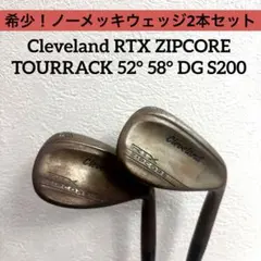 S754 ツアーモデル コッパーヘッド アイアンセット パター付き 9本