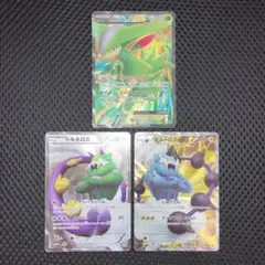 特価品　BW SR 3枚