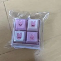 DWAEKKI ポチポチ　キーホルダー