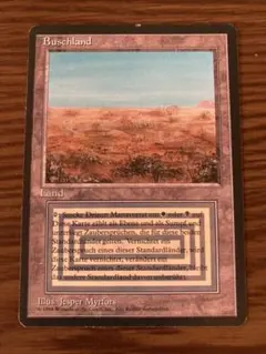 2025年最新】デュアルランドの人気アイテム - メルカリ