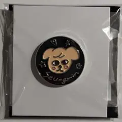 straykids スキズ SKZOO 展覧会 ピンバッジ パピーム グッズ