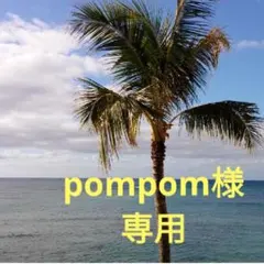 ②pompom様専用　ふき　細め　500g　ネコポス発送　山ふき