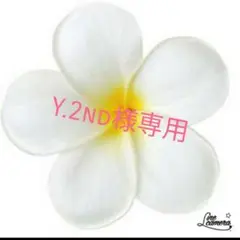 Y.2nd様専用　ミニチュア