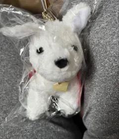 新品未開封 映画 スーパーマン ぬいぐるみボールチェーン クリプト