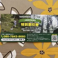 フォレストアドベンチャー長野 特別割引券のサムネイル
