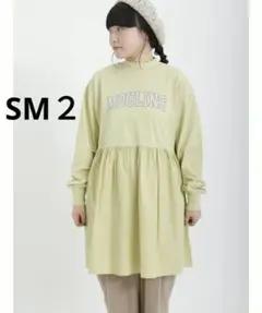 Item thumbnail for item b8bfb250-55c6-4ef9-8522-3c85de21500c