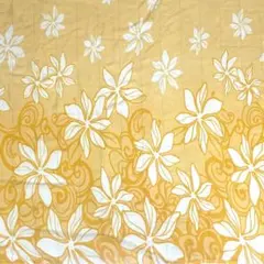 Item thumbnail for item 60a87e66-bb2d-4ec9-b53d-333917e155ee