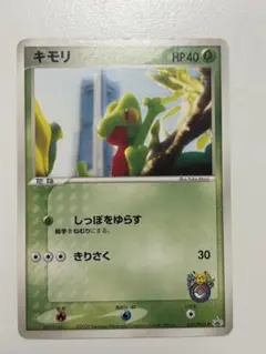 ポケモンカード キモリ 037/PCG-P プロモ ポケモンセンターヨコハマ