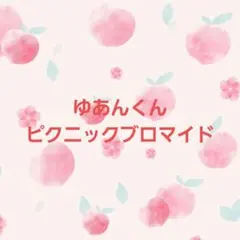 ゆあんくん　ピクニックブロマイド