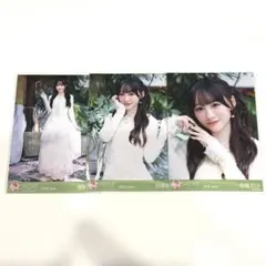 モラトリアム 生写真