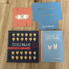 Johnny's Jr. カレンダー BLUE 【データブック付】