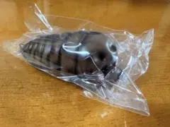 昭和 初代モスラ 幼虫 ソフビパペットマスコットのサムネイル