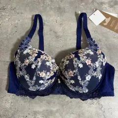 新品　ワコール　ウイングレシアージュ　ブラジャー C80