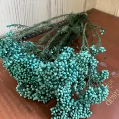 jozekoko様 リクエスト 2点 まとめ商品