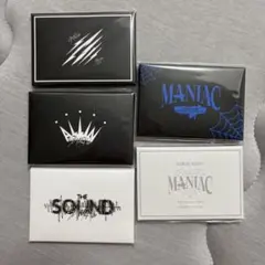 StrayKids フォトカードセット maniac allin scars