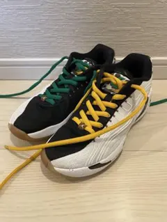 新品 Nike GOLF Air Jordan 1 Low 26.0cm 2026年最新】カラーテーマモデルの人気アイテム - メルカリ