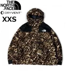 新品 ノースフェイス マウンテンパーカー マウンテンジャケット DRYVENT