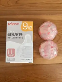 Item thumbnail for item 9d2b24b5-9678-4e14-8a32-0ef50212ead2