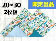 【限定品】ランチョンマット　恐竜グレー　2枚組　ナフキン　ハンドメイド