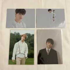 SEVENTEEN ディノ キノ ポストカード