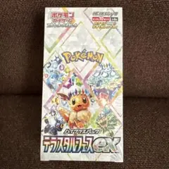 2026年最新】テラスタルフェスeX 未開封の人気アイテム - メルカリ