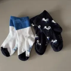 ジャガディ　靴下2点セット　アヒル柄　10.5センチ-11センチ