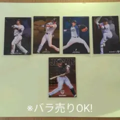 プロ野球チップスカード2018レアカード13枚