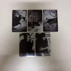 セブチ seventeen ドギョム トレカ セット