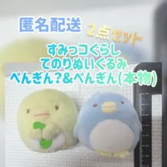 【すみっコぐらし】てのりぬいぐるみ ぺんぎん？&ぺんぎん(本物) 2点セット