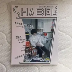 難有 ディスク無 SHABEL VOL.1 シャベル 尾崎世界観 クリープハイプ