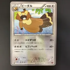 ビーダル C XY1 コレクションY 051/060