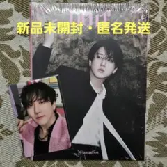 Stray Kids　DOiT　未開封　チャンビン