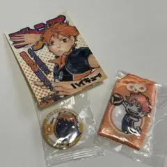 日向翔陽　缶バッジ　ストラップ　ステッカー　特典　ハイキュー