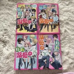 【野いちご】総長さま、溺愛中につき。1-4巻セット