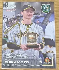 bosanoba_01様 リクエスト 2点 まとめ商品