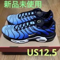 Nike Air Max Plus スニーカー　円堂守さん着用！！値下げ可能‼️ Nike Air Max Plus スニーカー 円堂守さん着用！！値下げ可能