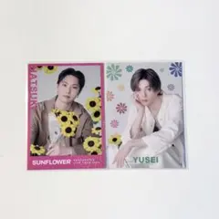 FANTASTICS SUNFLOWER堀夏喜 八木勇征 フォトカ
