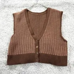 ローリーズファーム　ニットベスト　ジャガード　ショート丈　綿100 重ね着　茶系